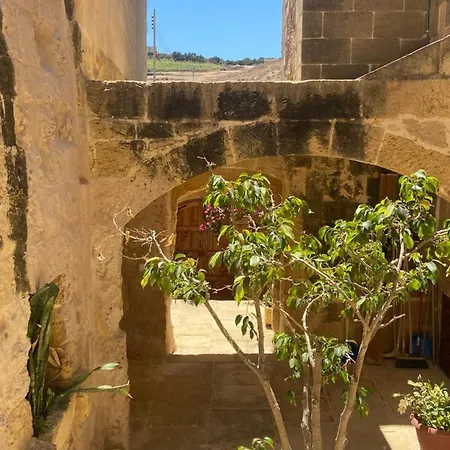 Razzett Cora * Victoria